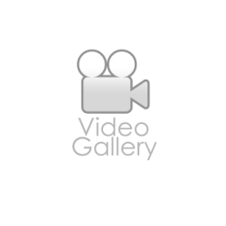 Video Gallery Installation